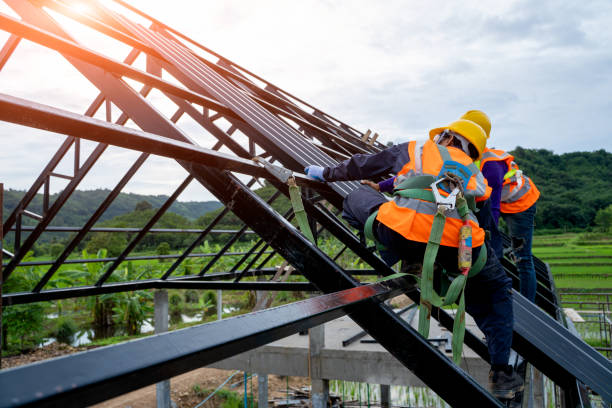 Best Commercial Roofing Services  in Dunedin, FL