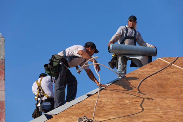 Best Commercial Roofing Services  in Dunedin, FL