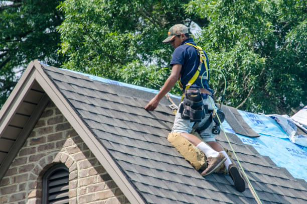 Best Residential Roofing Contractor  in Dunedin, FL